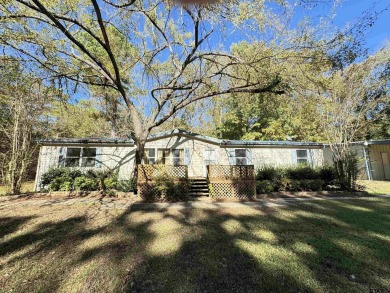 Lake Home For Sale in Mount Vernon, Texas