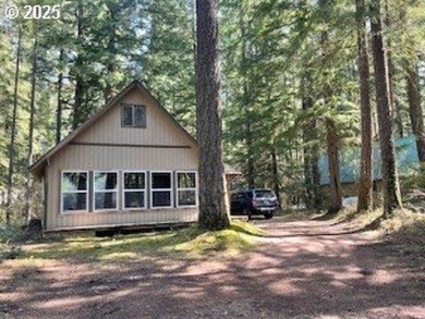Lake Home For Sale in Cougar, Washington