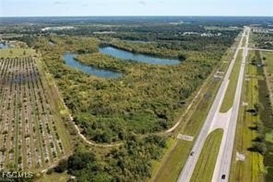 Caloosahatchee River - Hendry County Acreage For Sale in Labelle Florida