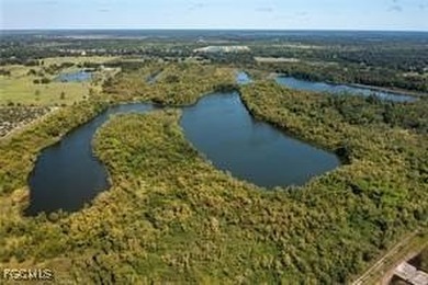 163+ acres located in Hendry County on SR 80 W. Directly across - photo 7