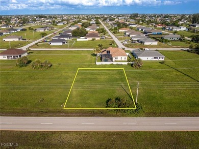 Prime Commercial Lot with High Visibility on El Dorado Blvd N! - photo 5