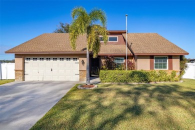 Lake Home Sale Pending in Winter Haven, Florida