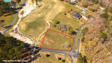 Beautiful corner lot overlooking the 11th hole of the Wyboo Golf - photo 4