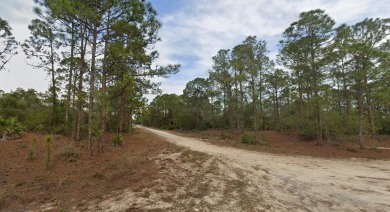 Lake Grassy Lot For Sale in Lake Placid Florida