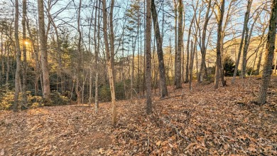 Outstanding 0.41 Acre Wooded Lot For Sale in one of the Best - Lake Lot For Sale in Lake Lure, North Carolina