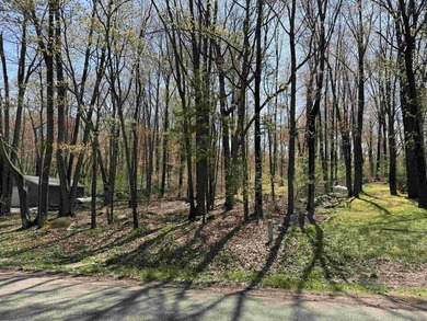 Hatch Lake Lot For Sale in Iola Wisconsin