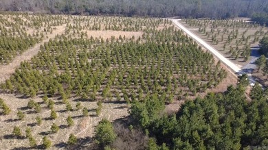 Lake Wilhelmena  Acreage For Sale in Mena Arkansas