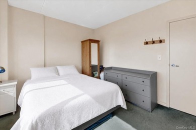 Beautiful, well maintained, sunny one-bedroom apartment on the - photo 6