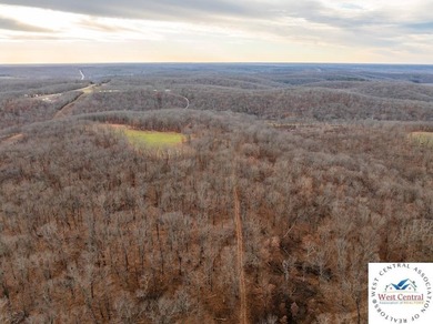 Located just east of Osceola, in the heart of St. Clair County - photo 10