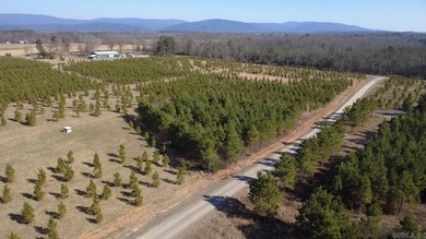 Lake Wilhelmena  Acreage For Sale in Mena Arkansas