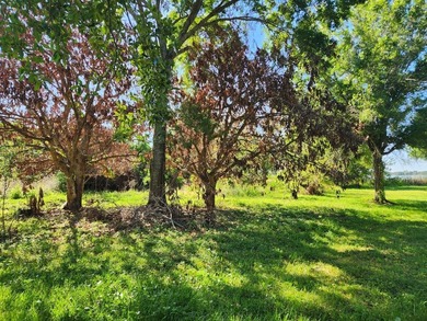 Two adjoining waterfront parcels on Lake Mann (skiable) with - photo 3