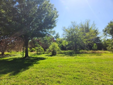 Two adjoining waterfront parcels on Lake Mann (skiable) with - photo 4