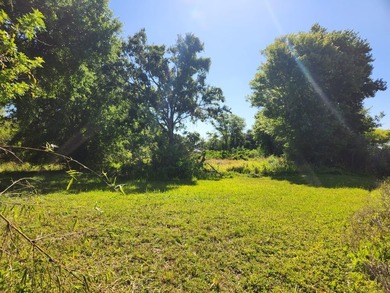 Two adjoining waterfront parcels on Lake Mann (skiable) with - photo 8
