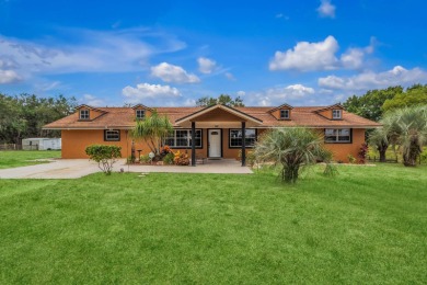 (private lake, pond, creek) Home For Sale in Howey In The Hills Florida