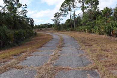 This beautiful, oversized lot-more than 10,000 square feet-is - photo 8
