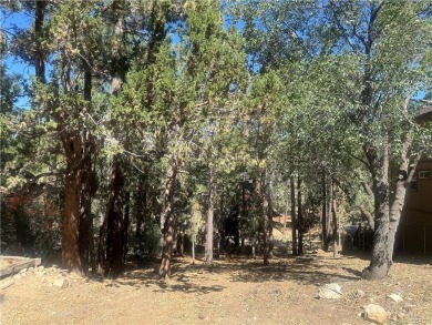 Big Bear Lake Lot For Sale in Sugarloaf California