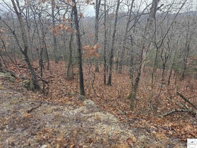 A wonderful and unique 6.3 acres of land with privacy and - photo 3