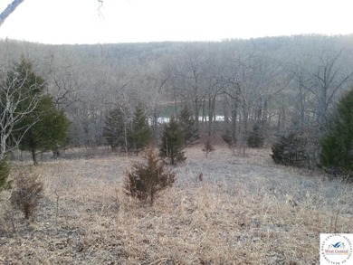 A wonderful and unique 6.3 acres of land with privacy and - photo 5