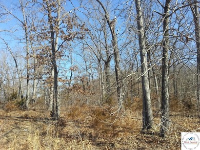 A wonderful and unique 6.3 acres of land with privacy and - photo 6