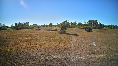 If you're seeking privacy in a growing area of Placida, this - photo 12