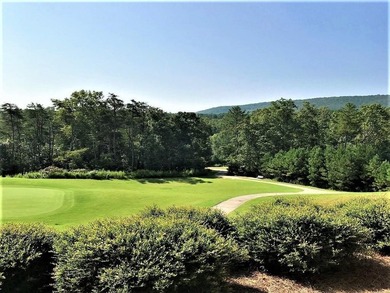 Great True Ranch Plan!! Ready November 2025. 3 Bed 2 Bath Ranch - photo 24