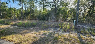 Lake Acreage For Sale in Dunnellon, Florida