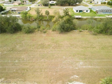 Lake Lot For Sale in Cape Coral, Florida