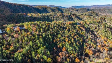 RARE LOT - MOUNTAIN VIEWS - LARGE PROPERTY - A rare 2.45-acre - photo 21
