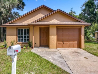 (private lake, pond, creek) Home For Sale in Eustis Florida