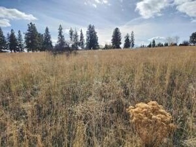 Agency Lake Lot For Sale in Chiloquin Oregon