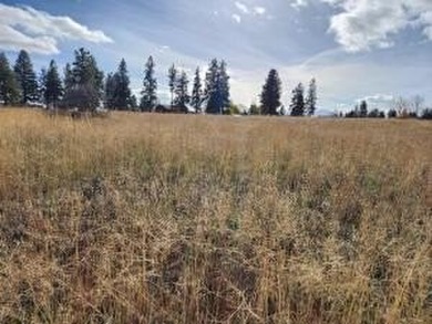 Almost half an acre lot in Oregon Shores. This lot is level - photo 2