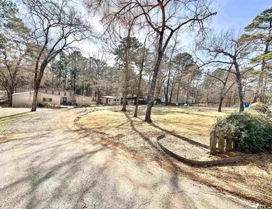Beautiful waterfront canal home located in Frankston, Texas - photo 3