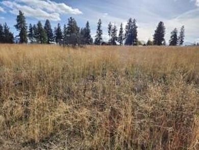 Almost half an acre lot in Oregon Shores. This lot is level - photo 3