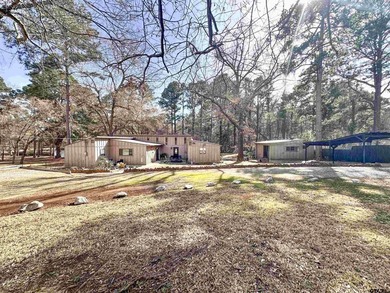 Beautiful waterfront canal home located in Frankston, Texas - photo 4