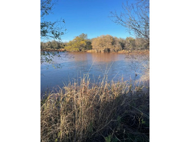 (private lake, pond, coastal) Acreage For Sale in Girard Texas