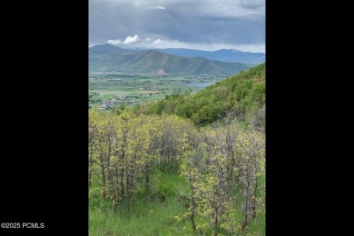 (private lake, pond, creek) Lot For Sale in Midway Utah