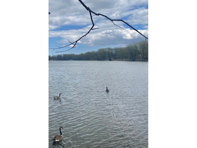 Fox River channel Water view! Ready to build your dream home? - photo 9