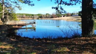 Lake Home For Sale in Starkville, Mississippi