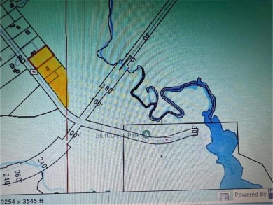 Lake Acreage For Sale in Pittsview, Alabama