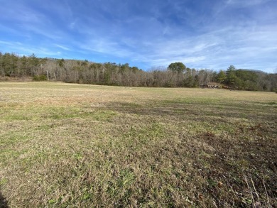 Lake Lot For Sale in Del Rio, Tennessee