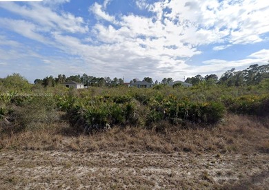 Lehigh Acres Area Lot Sale Pending in Lehigh Acres Florida