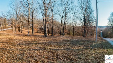 Truman Lake Acreage For Sale in Warsaw Missouri