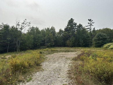 Prime 5.74 Acres on Busy Bangor Road - High-Visibility - photo 2