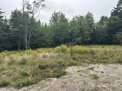 Prime 5.74 Acres on Busy Bangor Road - High-Visibility - photo 4