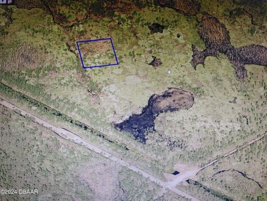 The Seller says, 'SELL!' Prime Wooded Lot - Build Your Dream - photo 7