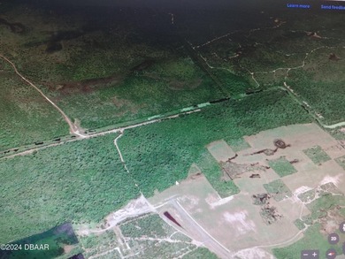 The Seller says, 'SELL!' Prime Wooded Lot - Build Your Dream - photo 8