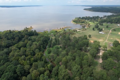 Toledo Bend Reservoir Acreage For Sale in Noble Louisiana
