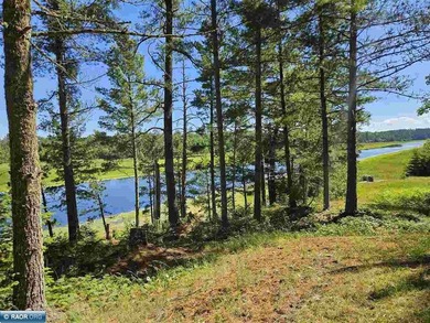 The beautiful *Vermilion River* is right out the door of this - photo 38