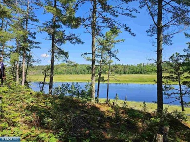 The beautiful *Vermilion River* is right out the door of this - photo 40