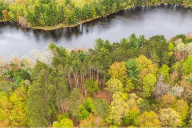 Lake Lot For Sale in Tomahawk, Wisconsin